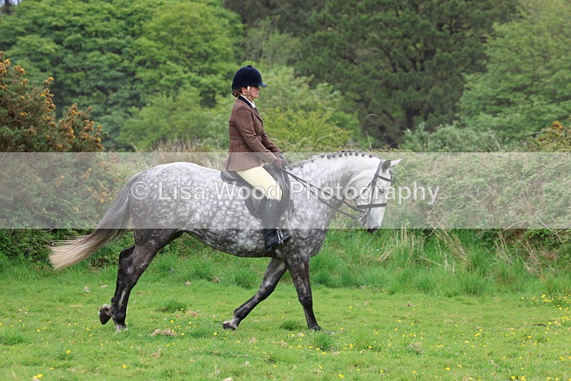 3E7A1752 - Class 9: Riding Club Horse/Pony