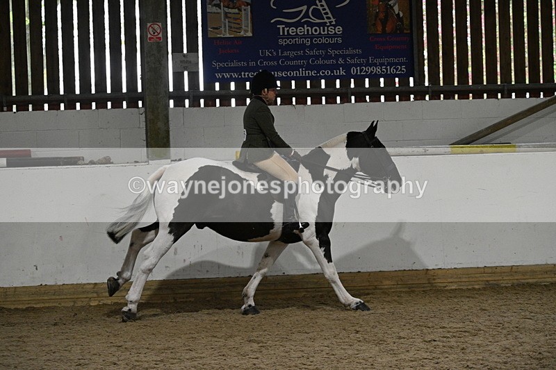 WJ7_4091 - Class 17 Ridden Cob