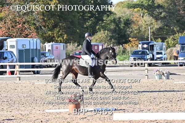 BPP_9463 - SHORT ARENA