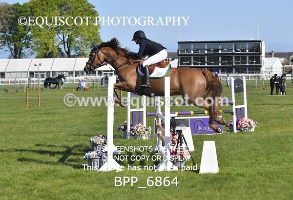 BPP_6864 - CLASS 1 Senior Newcomers/ 1.10m Open