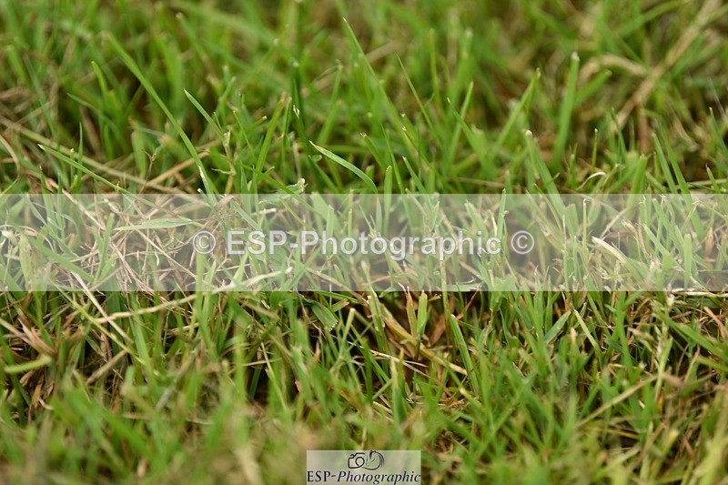 240523B-131314-02343 - 5 Year Old