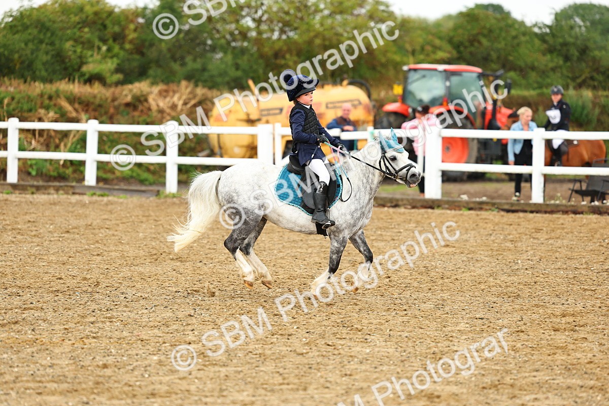 SBM_000806 - Class 3 - 60cm