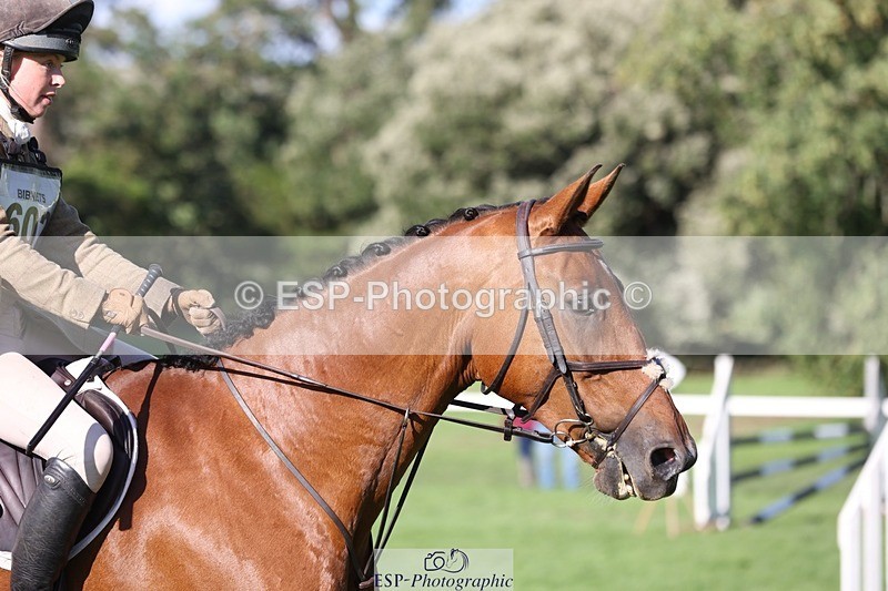 230805-180814-07109 - SJ 18.00 to End