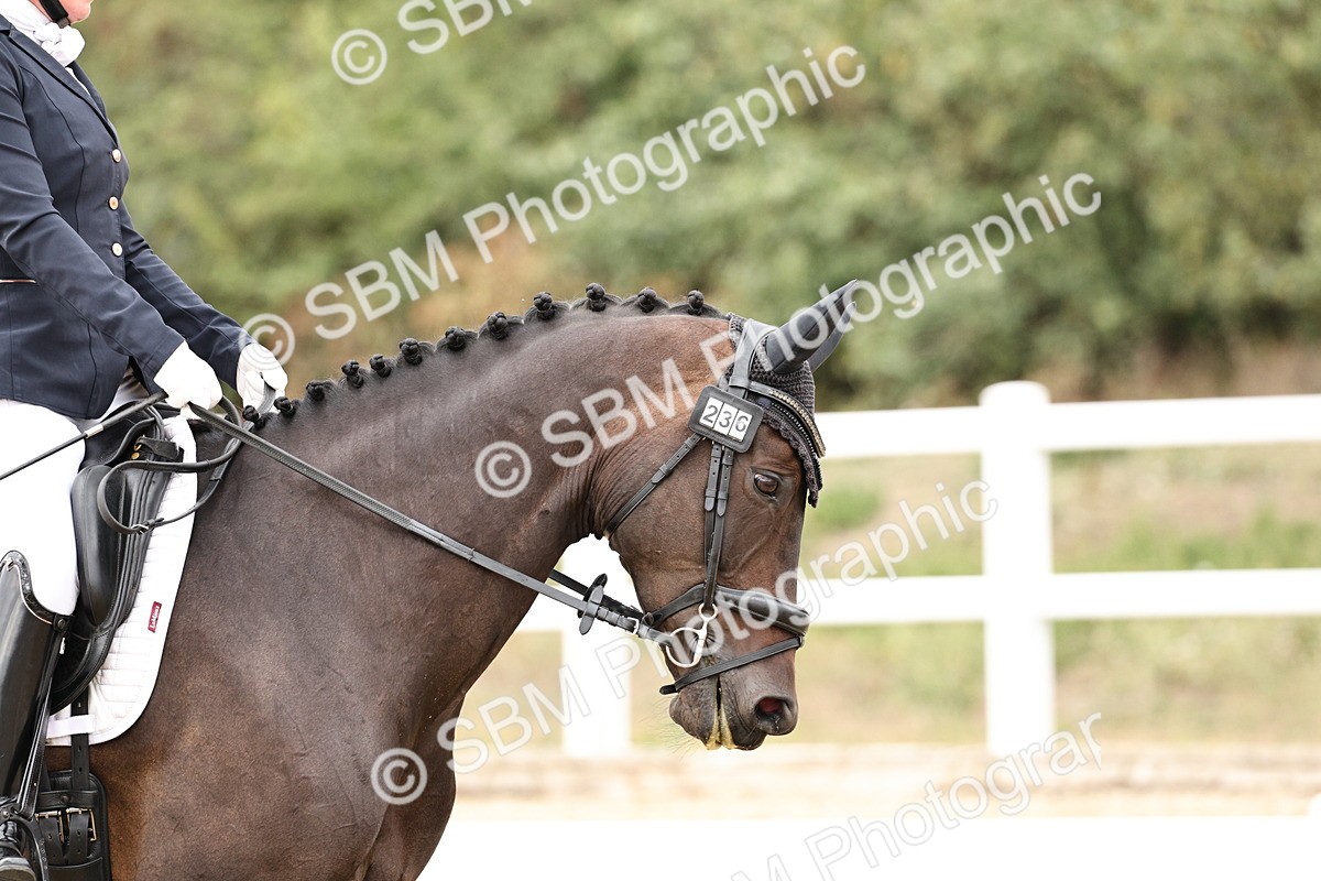 SBM_019668 - Class 18 - Elementary 5