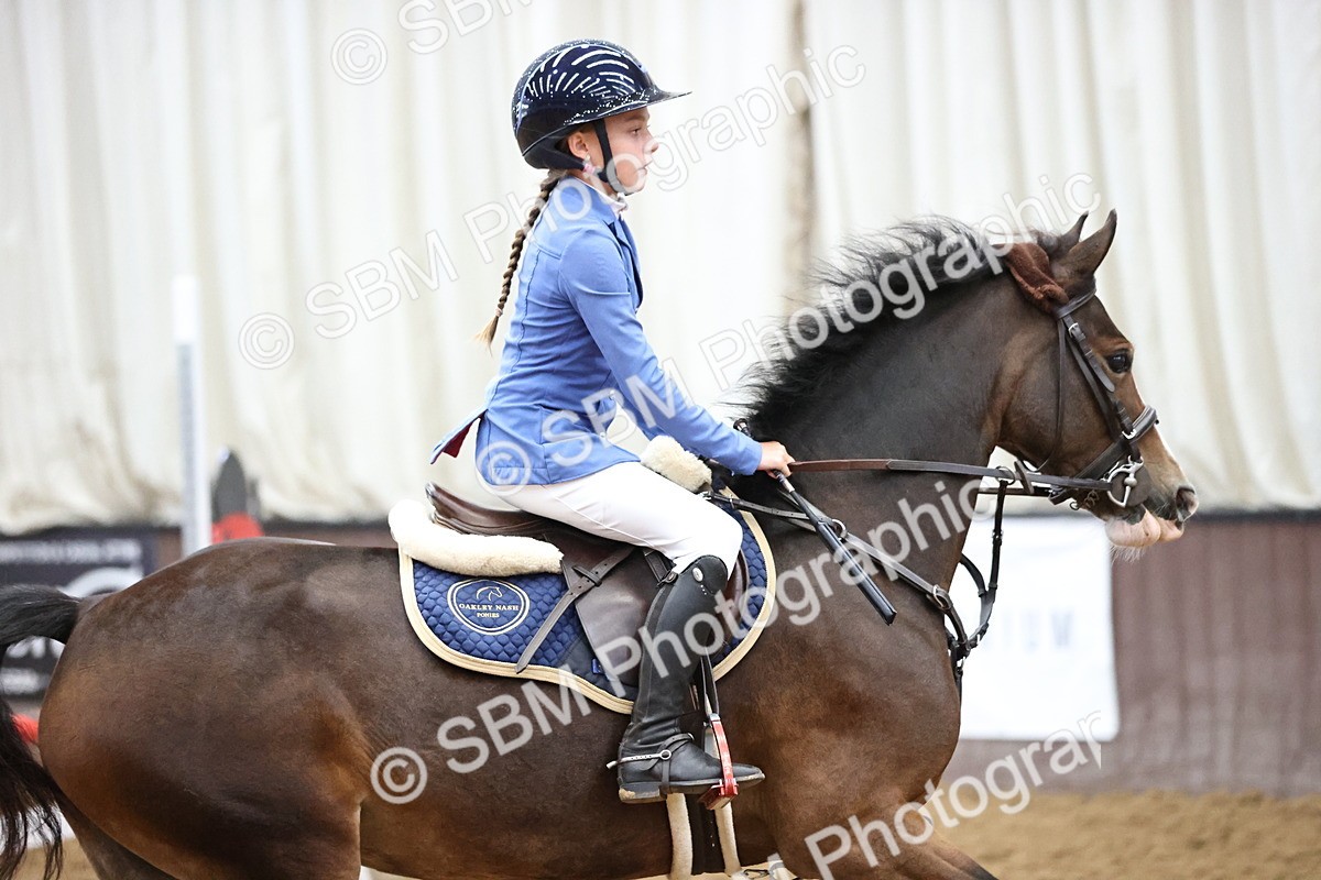 SBM_000247 - Class 2 - Pony British Novice - 80cm Open