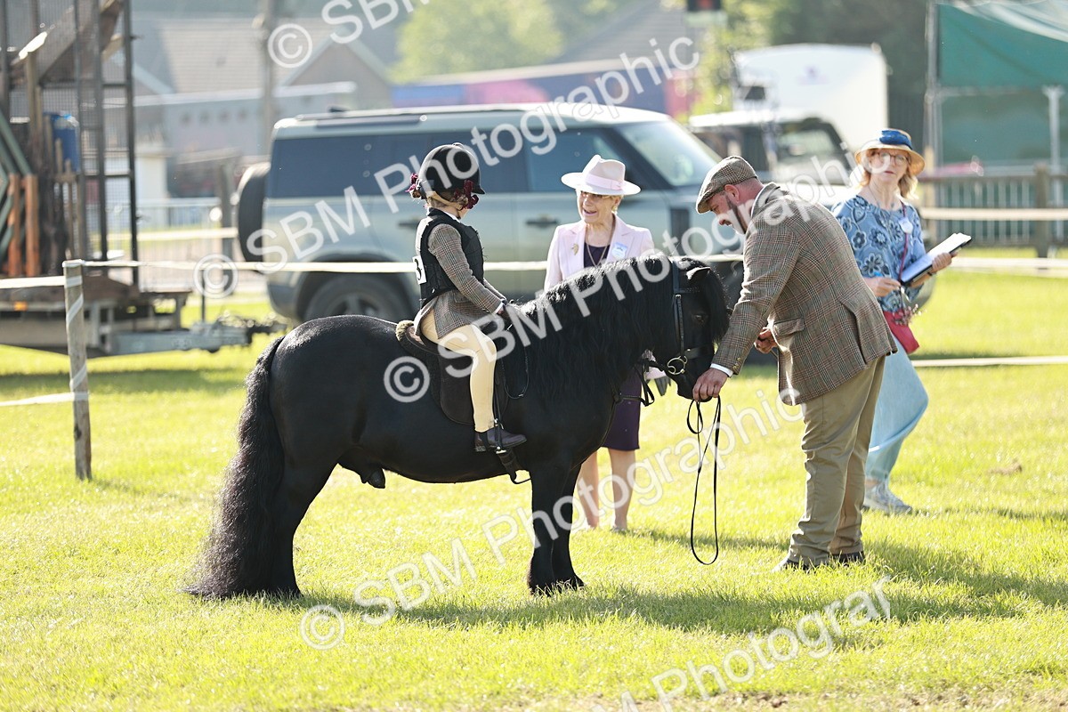 SBM_11160 - Class 106-107 - BSPS LIHS Working Sports Pony