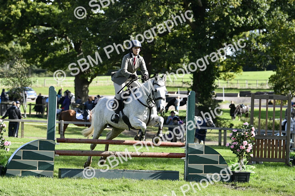SBM_50028 - S34 - Novice & Newcomers Working Hunter