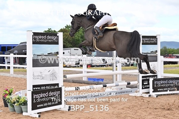 BPP_5136 - CLASS 8 THURS HOYS GFS Saddles Senior Newcomers Second Round