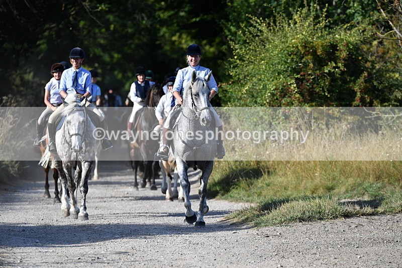 WJ5_4880 - Walk out with the hounds