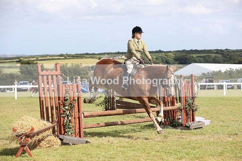 JPP_2528 - Class 20: Working Hunter 70cm