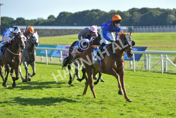 yr12062021r7-21 - Race 7 5.25pm Sky Bet Stakes