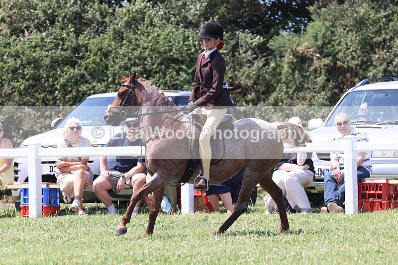 JPP_2787 - Class 21: Working Hunter 60cm