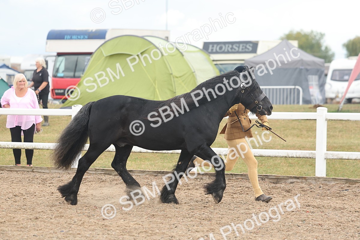 SBM_08431 - Class 29 - IH Veteran Pony