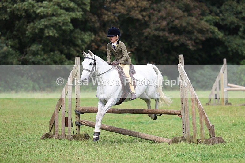 3E7A5794 - Class 26 and 27: 70cm Working Hunter