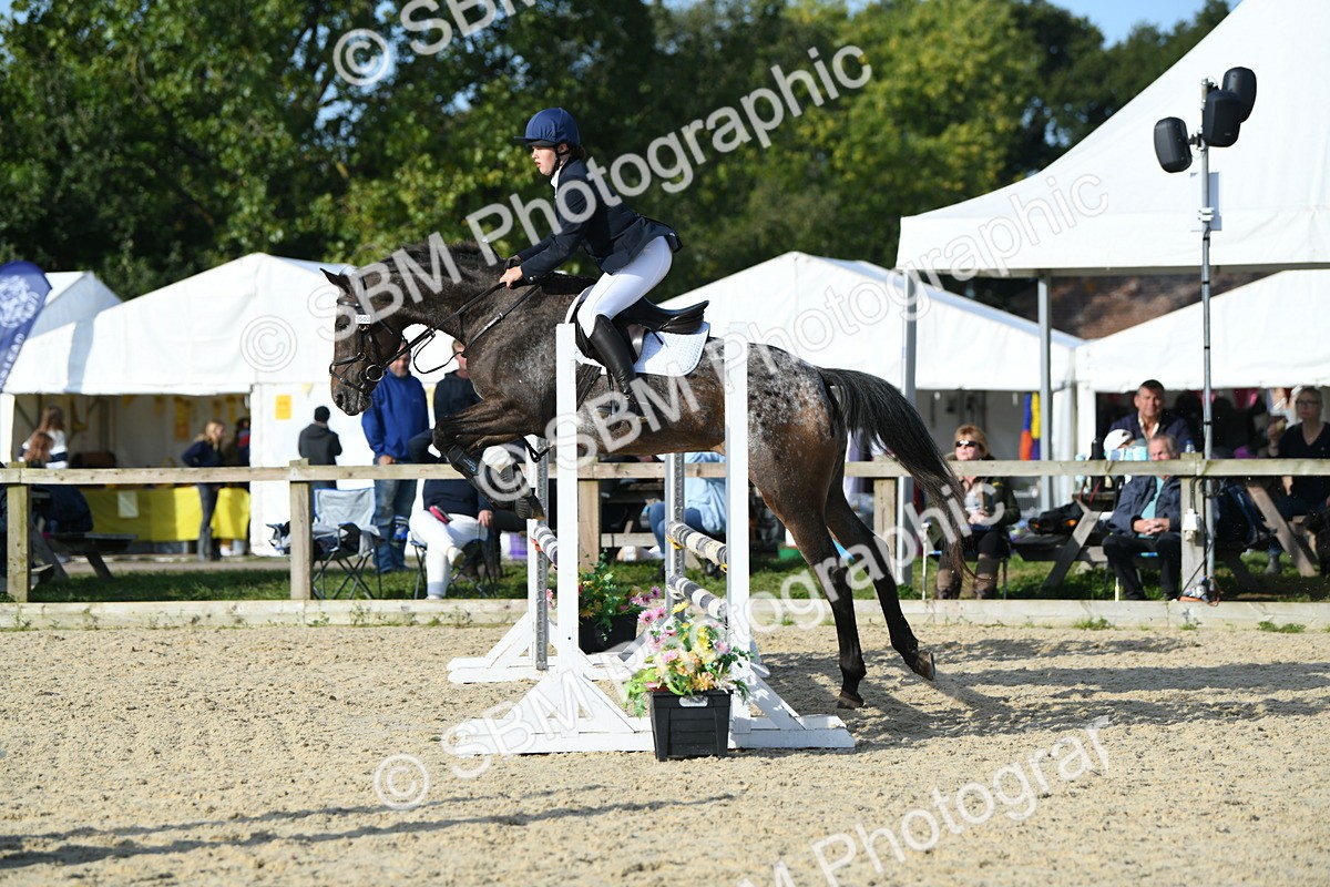 SBM_60496 - j25 - Junior Horse 80cm Championship