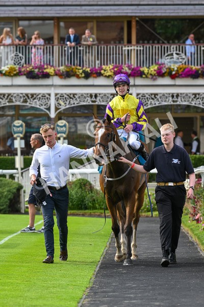 260724-Race 1-Craven-4409 - Race 1 5.30pm eventmasters.co.uk Handicap
