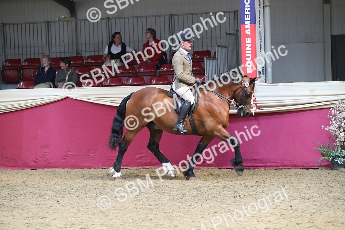 SBM_16266 - Class 502 M&M Ridden Supreme Final