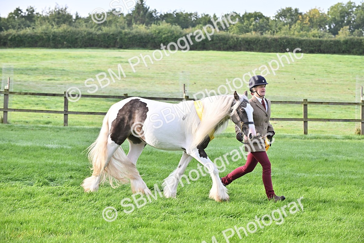 SBM_55407 - S44 - Youngstock In Hand