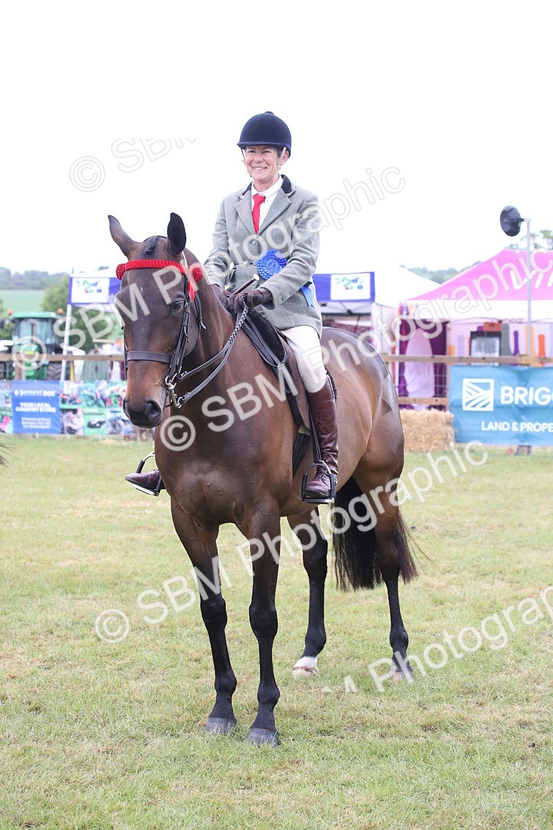 SBM_11468 - Class 94 - LIHS BSHA Racehorse to Showhorse