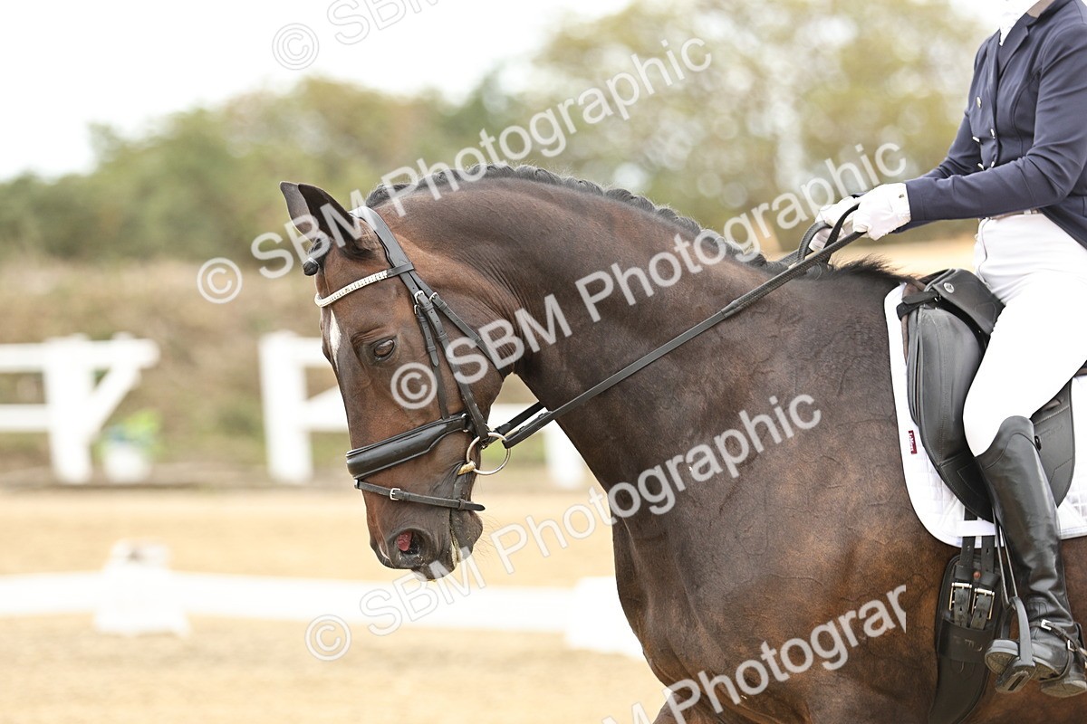 SBM_007156 - Class 25 - FEI PSG Bronze