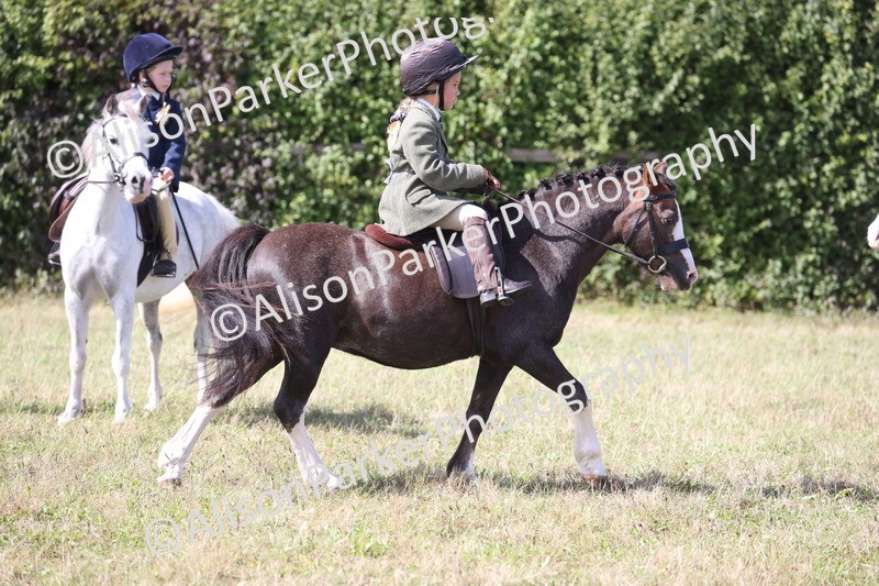 20260906-3085 - Class 18 - Childs First Pony