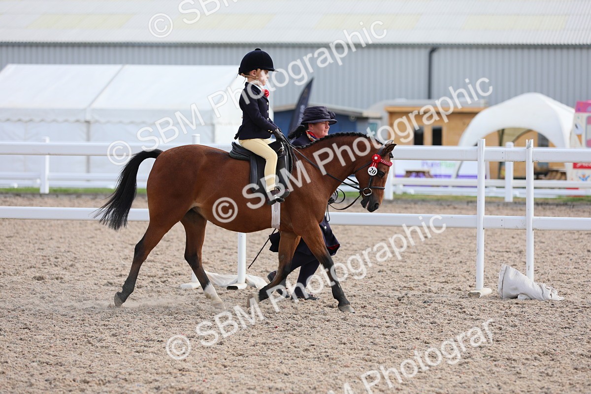 SBM_13985 - Class 309 Lead Rein Pony