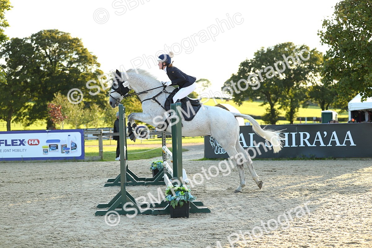 SBM_30253_J52 - Open 80-90cm - Marsha