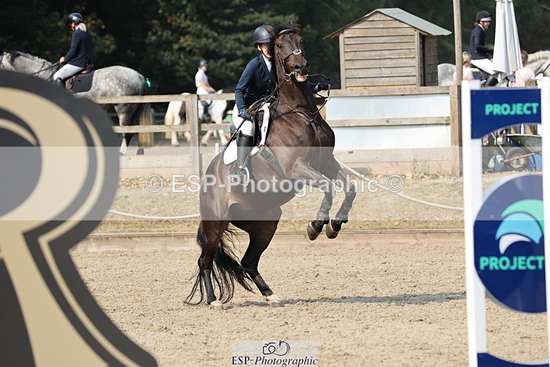 250816A-103116-00742 - Cls 3 Snr British Novice