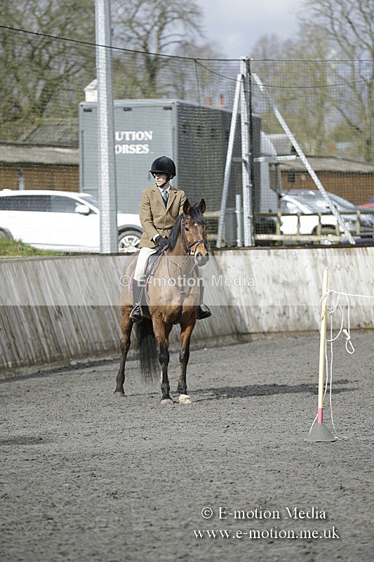 BVRC 050320 0491 - Bourne Valley riding Club Show Jumping Tidworth 08/03/20