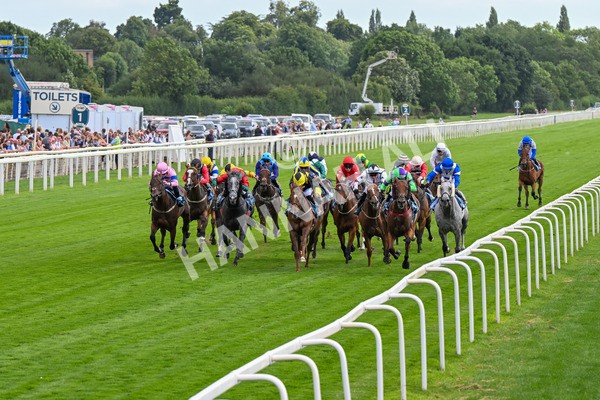 260725-Race 6-Billyb-0776 - Race 6 4.25pm Sky Bet Go-Racing-In-Yorkshire Summer Festival Handicap