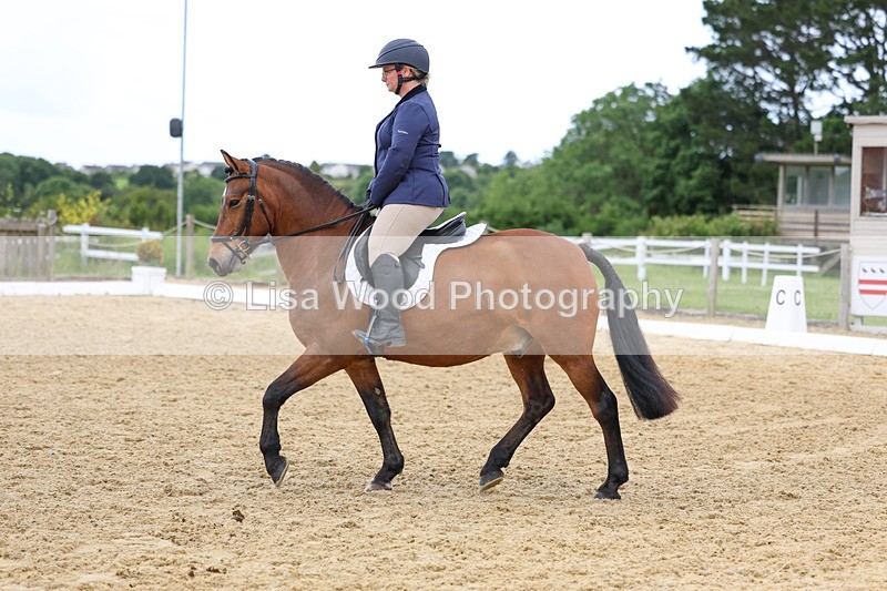 3E7A9551 - Class 2: Intro 1 2024 Section B