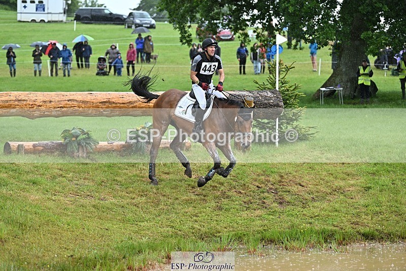 240526-134419-23049 - 443-FIGARO_DES_PREMICES-Alexander_Peternell