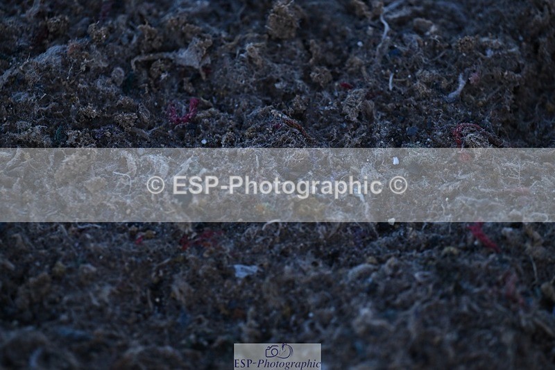 251203-111812-00310 - Cls 2 Discovery and 1m Open