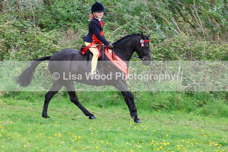 3E7A2463 - Ridden Championship