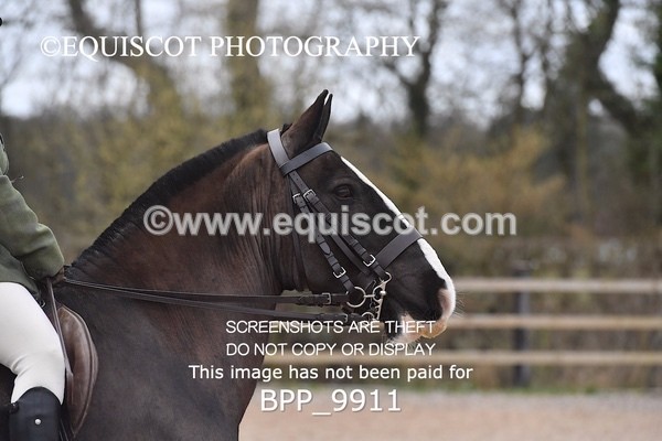 BPP_9911 - 60CM