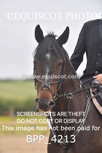 BPP_4213 - Senior Discovery/ 1m Open