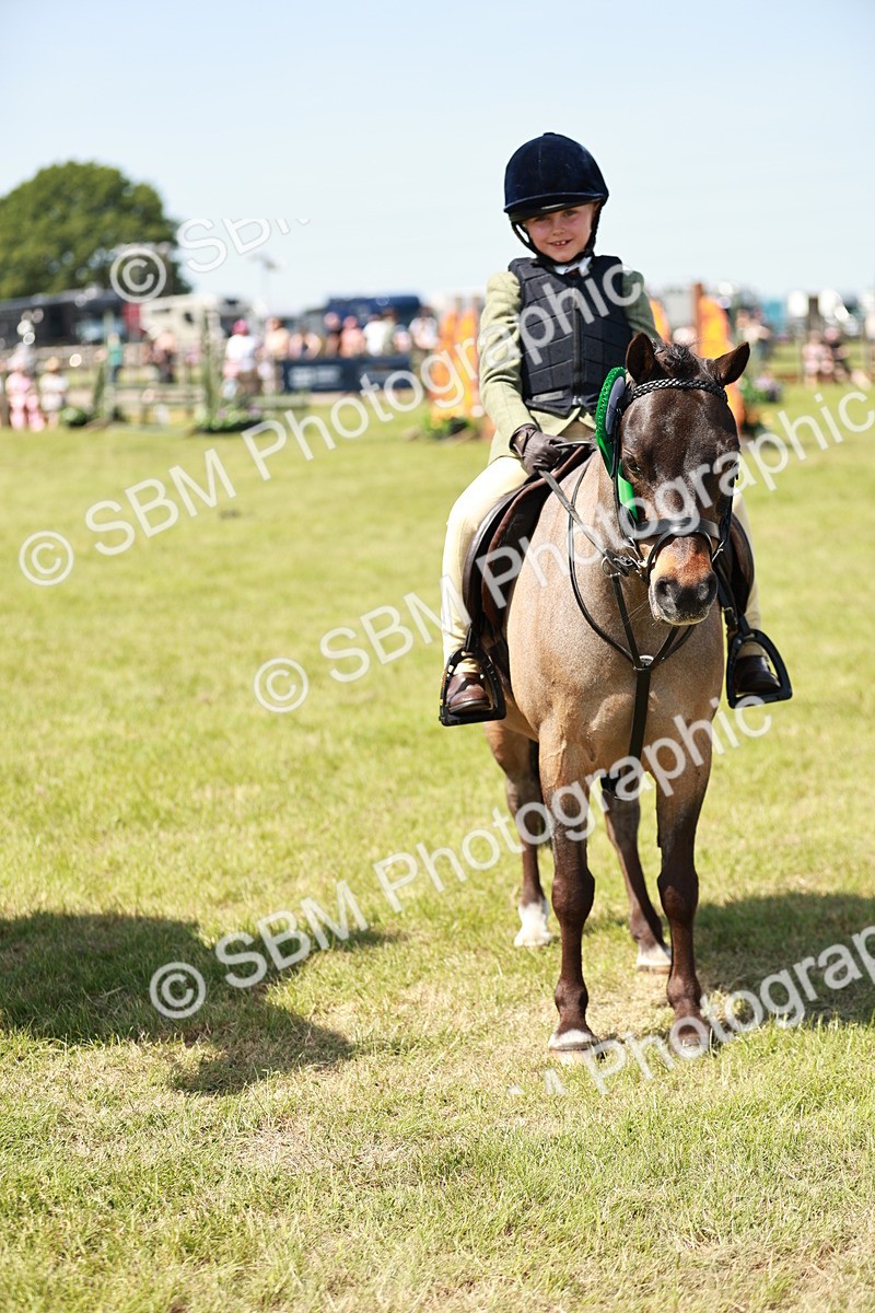 SBM_13654 - Class 108-109 - BSPS LIHS Open Gradle & Nursery Stakes