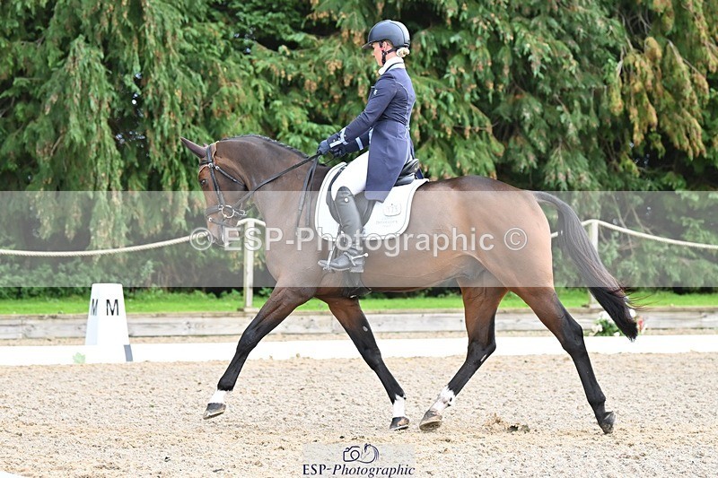 231019-143412-04546 - 125-KINDA.CORVETTE-Dani.Evans-DR