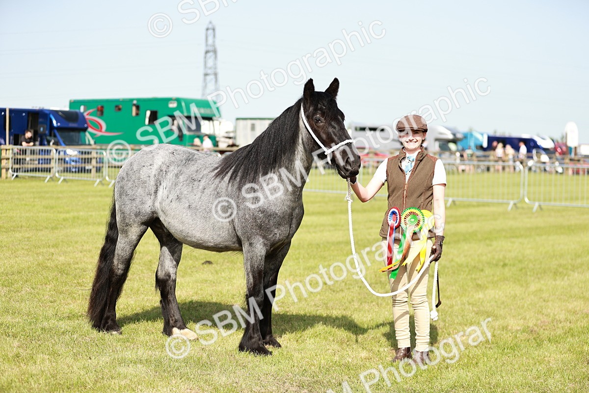 SBM_01580 - Class 14-23 - Mountain & Moorland In Hand Non Welsh
