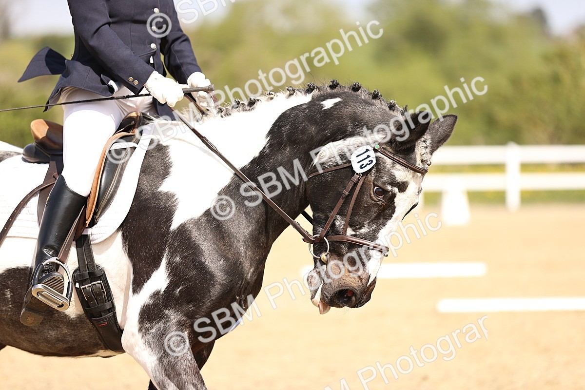 SBM_007955 - Class 5 - P3