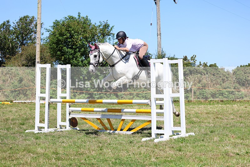 3E7A5653 - Class 9: Senior British Novice/90cm open