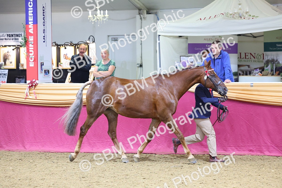SBM_20829 - Class 902 - Supreme Final IH Veteran