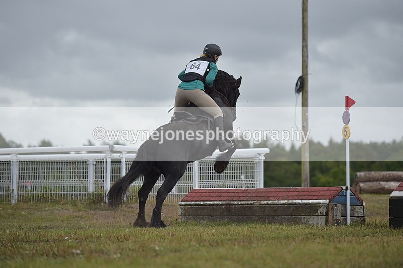 NGP_2784 - XC Time 11:37 to 11:57