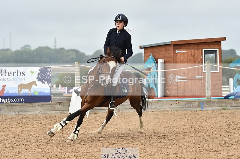 230902A-112754-00716 - Cls 2B Pony Small 80cm