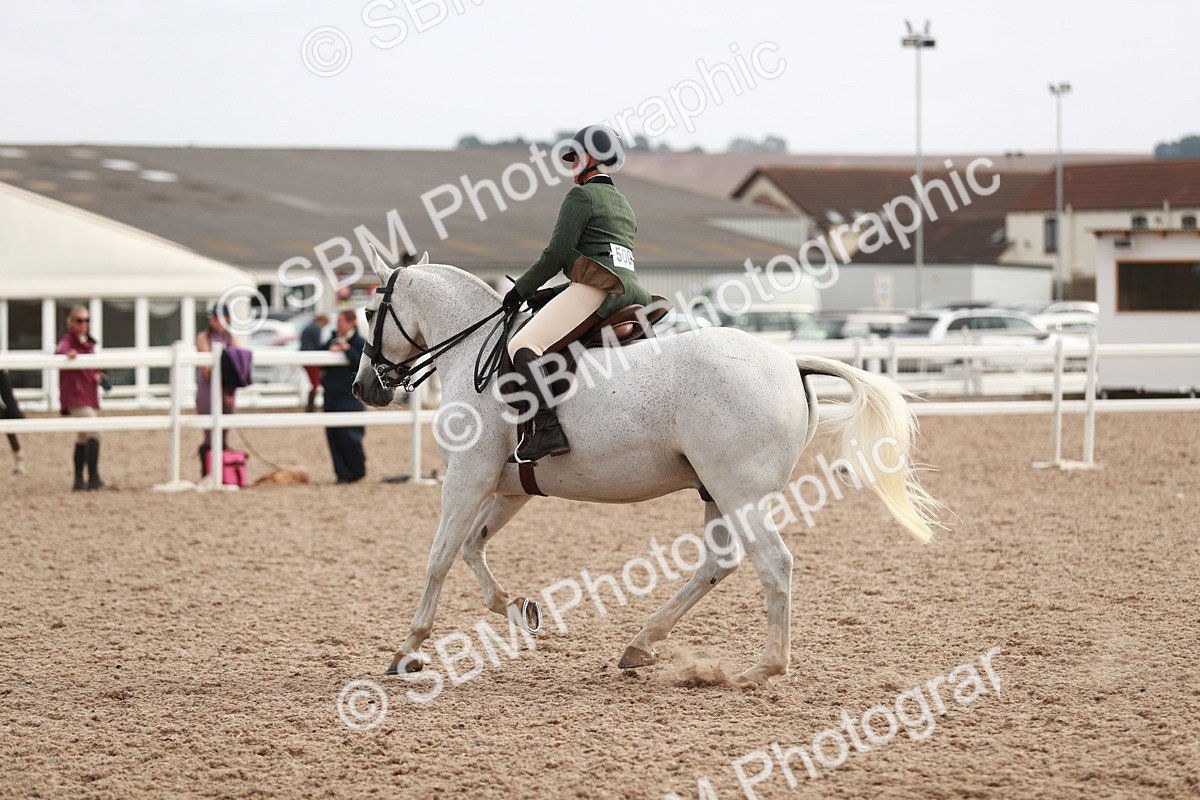 SBM_16770 - Class 214 Ridden Cob