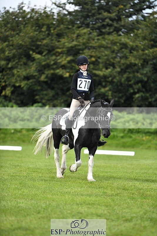 230826-111535-15803 - Sections C & D 10 to End