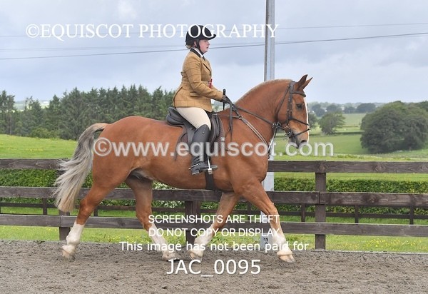 JAC_0095 - CHAMPIONSHIPS AND SUPREME