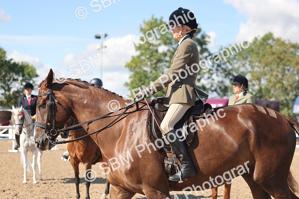 SBM_13080 - Class 305 - Ridden Foreign Breed Pure Bred