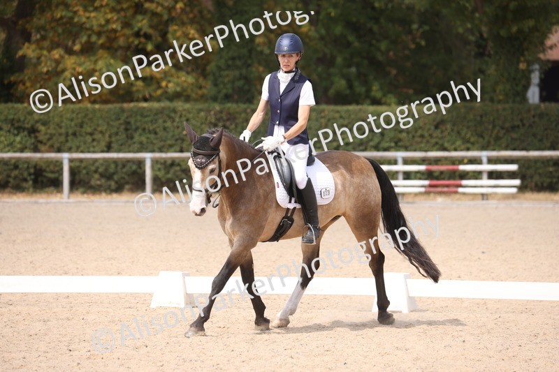 20260816-1153 - Class 4 - Novice 6
