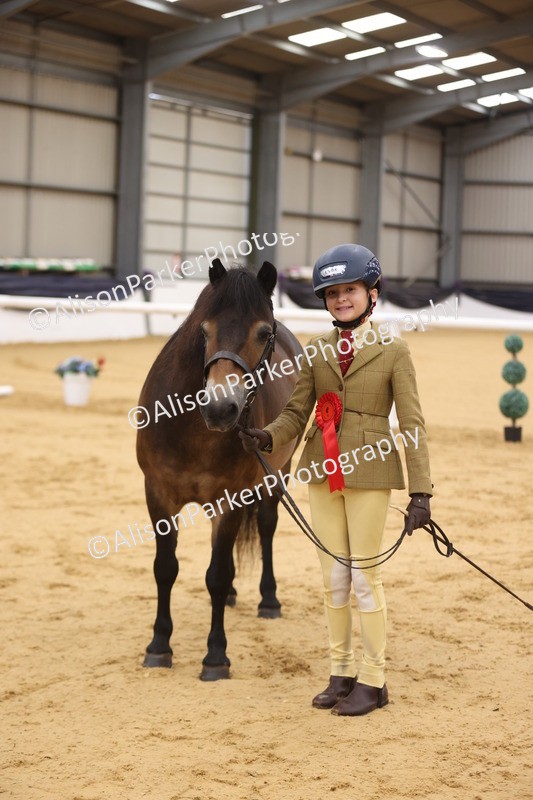20260913-1147 - Class 110 - Bred In Other In Hand